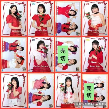 핀포스 10점 츠바키팩토리 2025 무도관 OUR DAYS 야기 시오리