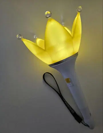 당일 발송 BIGBANG 응원봉 한국 공식