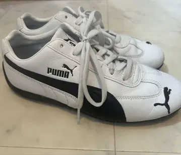 PUMA 스피드캣
