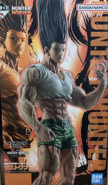 HUNTER x HUNTER 제일복권 라스트 원상 곤 피규어