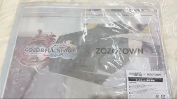 프로젝트 세카이 ZOZOTOWN 콜라보 모치즈키 호나미