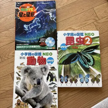 별자리 동물 곤충 도감 DVD 포함 세트