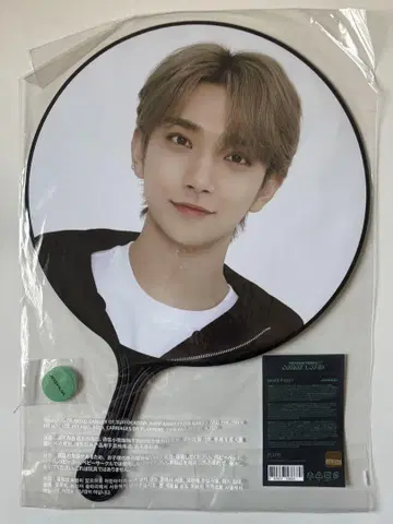 seventeen 조슈아 carat land 부채