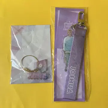 SEVENTEEN 조슈아 JOSHUA 아크릴 키링 세트