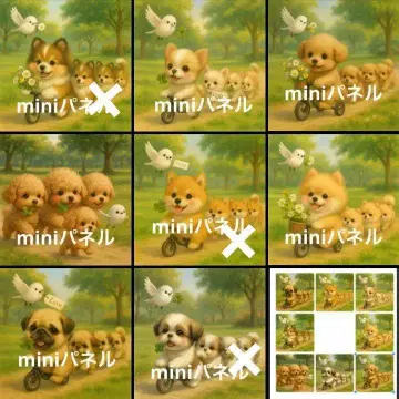 오더 접수 강아지 자전거