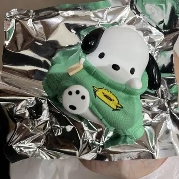 포차코 옷 갈아입는 중