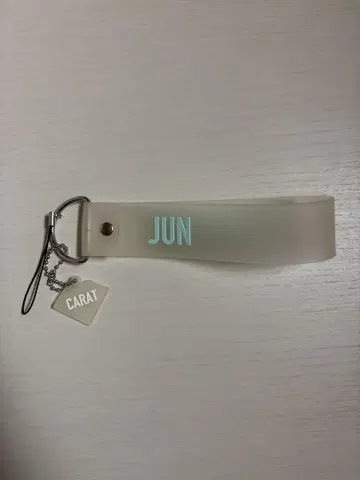 SEVENTEEN 응원봉 스트랩 준