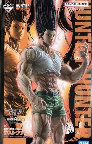 HUNTER x HUNTER 곤 라스트 원상