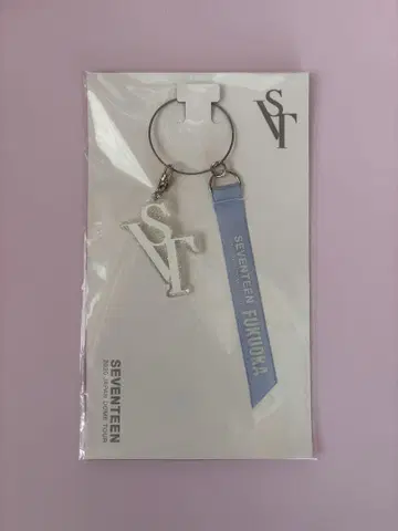 SEVENTEEN SVT 돔 투어 키링