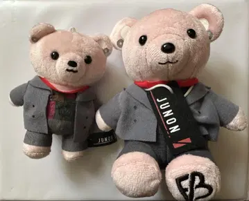 BEFIRST JUNON 모어플러스 곰 봉제 인형 세트