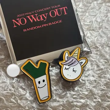 WayV 웨이션v 헨드리 NWO 랜덤 핀 배지 세트