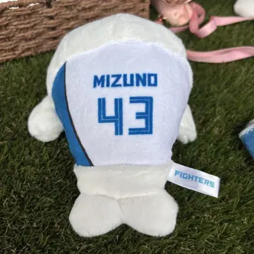 파이터즈 선수 복권 동물 봉제 인형 복권 물개 미즈노 타츠키 4등