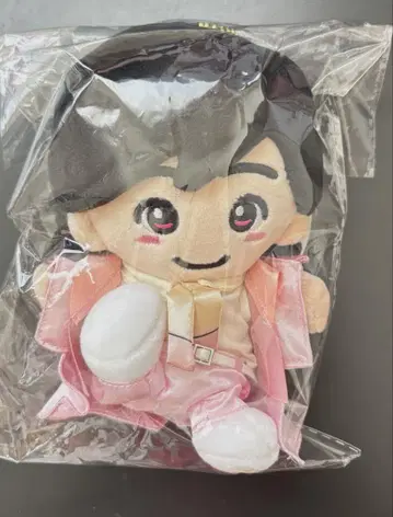 나니와단시 미치에다 슌스케 치비누이