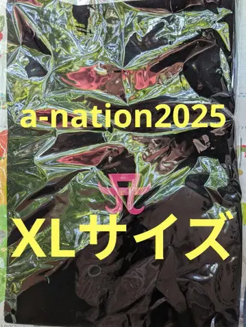 a-nation 2025 하마사키 아유미 슬리브리스 셔츠 XL 사이즈
