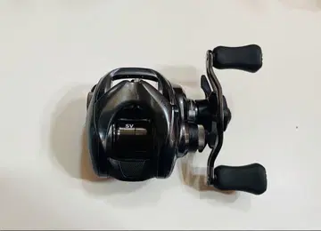 다이와 25 타투라 SV TW 100H