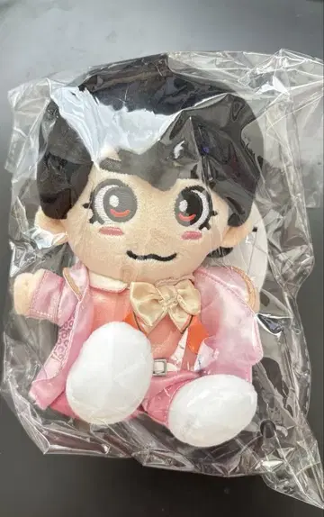 나니와단시 오니시 류세이 치비누이