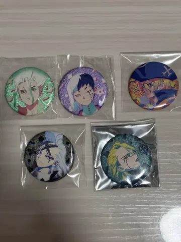 HICUL Dr.STONE 글리터 캔뱃지 5개 세트 3