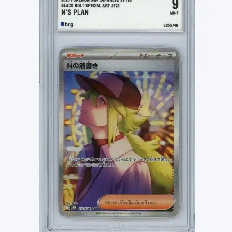 Pokemon cards SAR SR AR ノーマル まとめ売り 3000 POKÉMON | 포켓몬스터 Pokemon Card Black Bolt Japanese Version N's