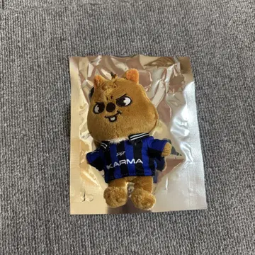 straykids skzoo KARMA 한