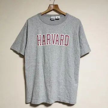Champion t1011 USA 하버드 멜란지