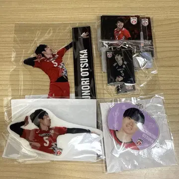 배구 남자 일본 대표 가챠 오쓰카 다쓰노리