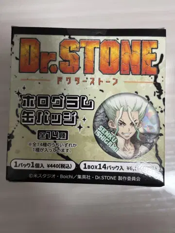 Dr.STONE 홀로그램 캔뱃지 닥터스톤 닥스탄 스탠리