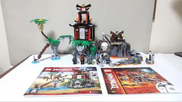 LEGO 닌자고 70604 71717 덤 포함