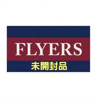 FLYERS 빅 타월