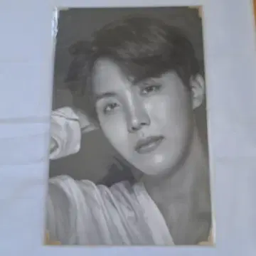 BTS THE WINGS TOUR 사진
