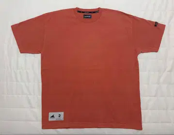 DESCENDANT/HORIZON SS PIGMENT DYE