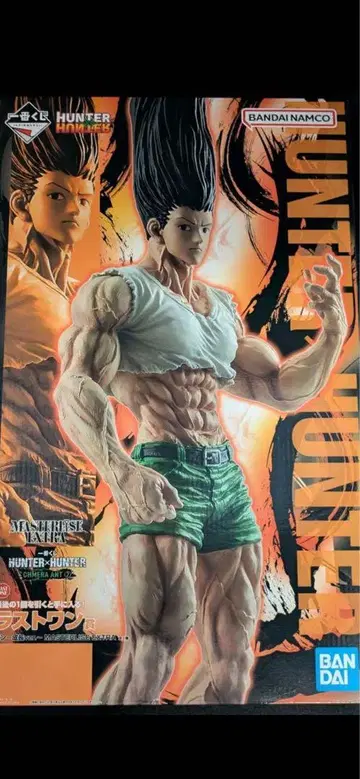 제일복권 HUNTER x HUNTER 라스트 원상 곤 성장ver. 피규어