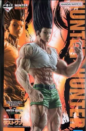 HUNTER x HUNTER 곤 라스트 원상