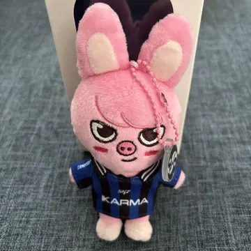 StrayKisds SKZOO KARMA 돼끼 창빈