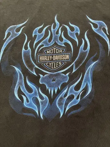 Harley-Davidson 할리 빈티지 롱t 블루 프레임