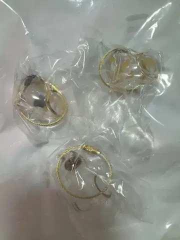 우리 아이 털뭉치 시플라 한정판 녹슨 고양이 샤무, 삼색 고양이