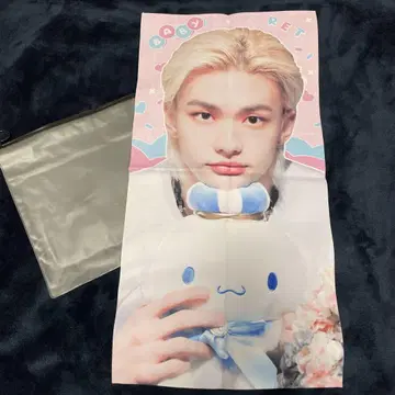 straykids 현진 슬로우건 시나모롤