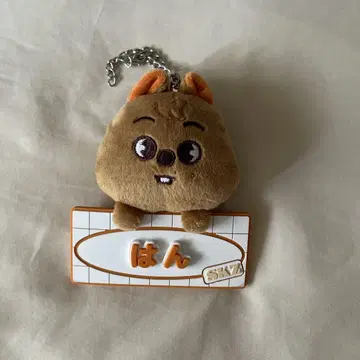 한쿼카 봉제 인형 네임 백참 한 skzoo 스키즈