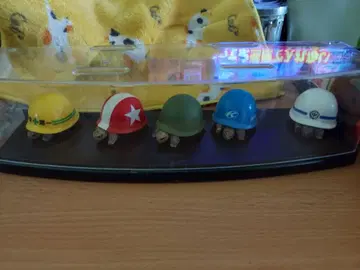 거북이 세트