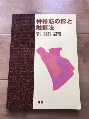 골격근의 형태와 촉진법