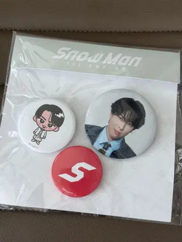 미야타테 료타 SnowMan 팝업 캔 배지 세트