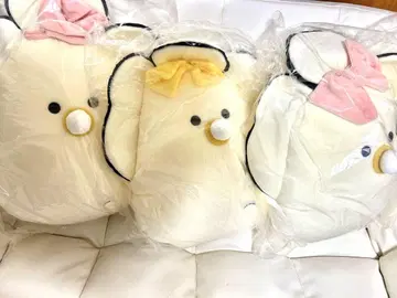 동글동글 눈의 일식집 므규누이 베이비 생굴 슈퍼 빅 그 2개 3개