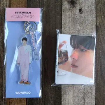 SEVENTEEN 원우 아크릴 키링 트레이딩 카드 파일