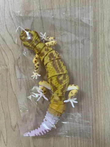 온라인 한정판 레오파드 게코 (랩터) 생물대도감 어드밴스
