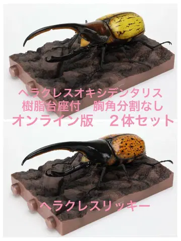 온라인판 헤라클레스 1 옥시덴탈리스 2 리키 세트 생물대도감