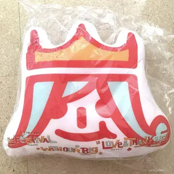 아라시 아라페스 굿즈 비즈 쿠션