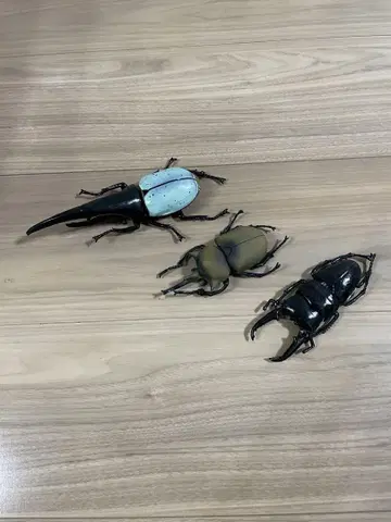 곤충 피규어 세트 3종 헤라클레스 장수풍뎅이