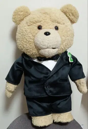 레어 TED 말하는 봉제 인형