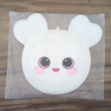 twice 다현 부채 케이스