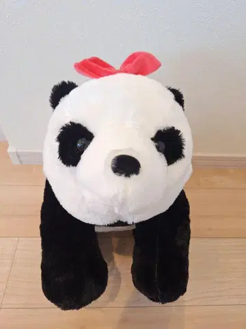 Kuttari 쿠타리 팬더 마타리 봉제 인형 리본 포함