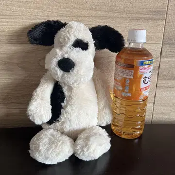 제리캣 강아지 씨 강아지